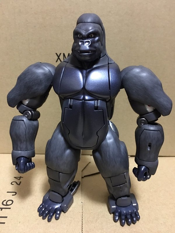 MP 32 Masterpiece Optimus Primal   In Hand Photos Surface On Twitter  (78 of 81)
